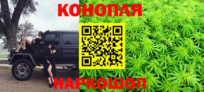 эйфоретик Гай