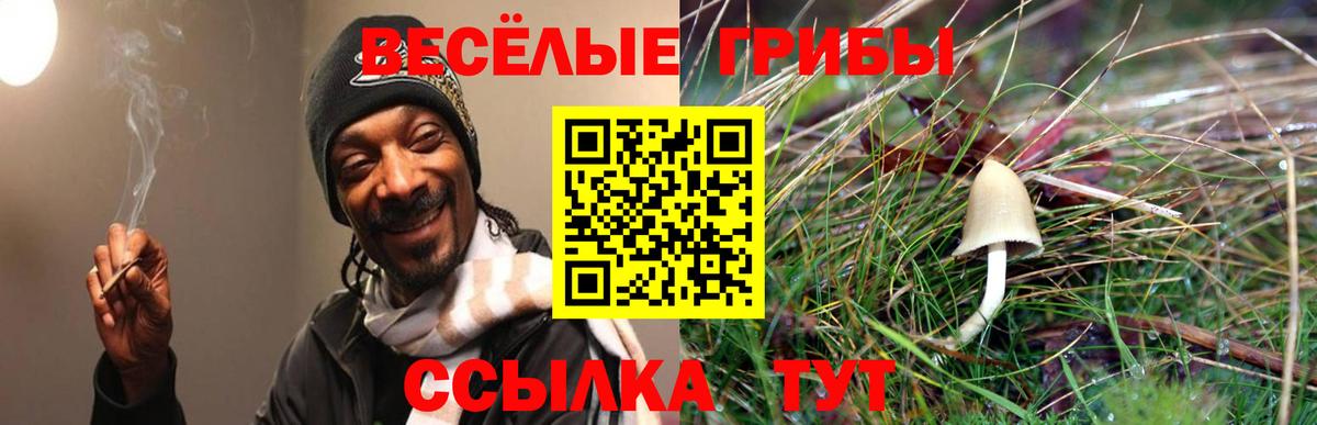 Новотроицк  Псилоцибиновые грибы мицелий  Вход с VPN 